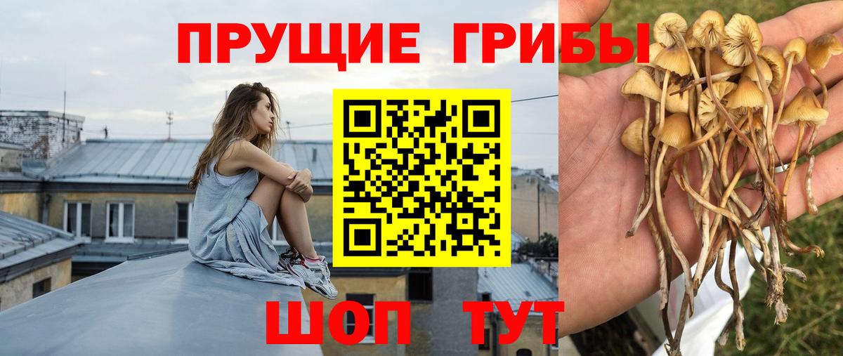 Псилоцибиновые грибы мухоморы Камышлов