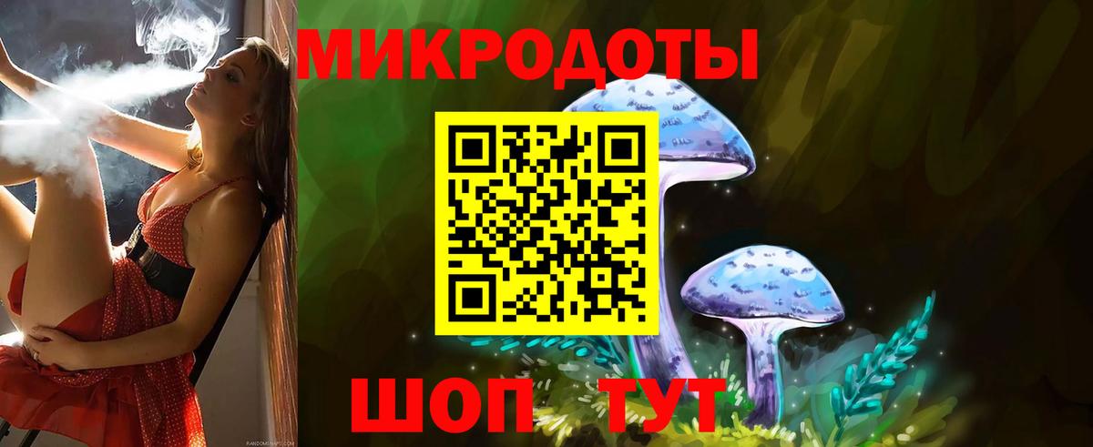 Камышлов  как найти закладки  Вход с VPN  Галлюциногенные грибы мицелий 